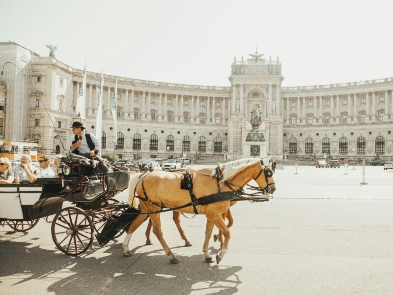 Vienna by Horse